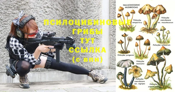 не бодяженный Аркадак